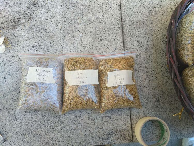 “超聲波處理對稻谷表面微生物的影響”發(fā)表論文啦！！
